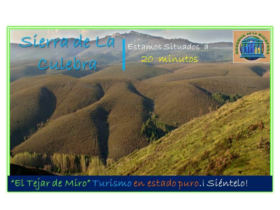 Hotel Rural El Tejar De Miro Ceadea 外观 照片